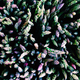 Illustration for article titled These Are Some of the Most Amazing iPhone Photos of the Year